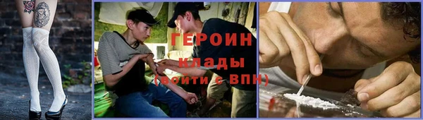 сатива Няндома