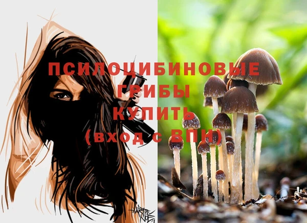 кристаллы Белокуриха