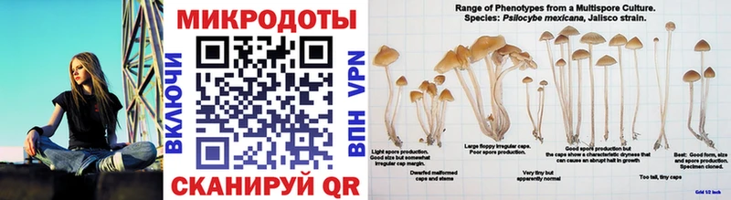 как найти наркотики Бирюсинск Галлюциногенные грибы мухоморы